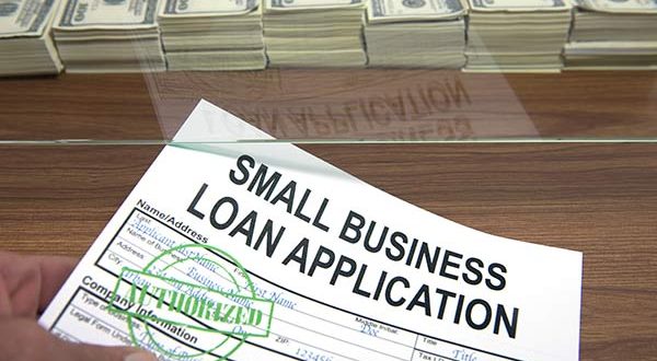 Business Loan Application